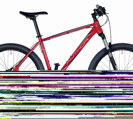 hardtail