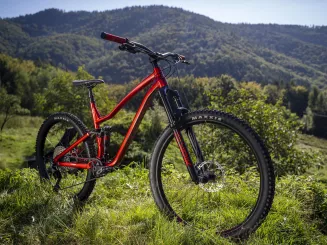 Rower Dartmoor ROCBIRD TRAIL EVO rozm.L - 6